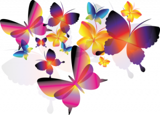 576ac7f27135a155791d0b20