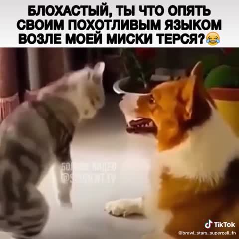 57a50e3daad37420b7fa61770544520a
