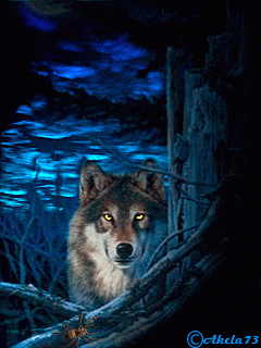 03ea6e6ed42cfebba5a75c51972c79ed