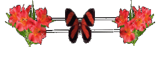 3008078341_1_3_6hrQlRv0