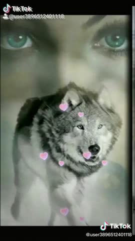 17bd70e3af70fce1ac83f0ce0d681c1c