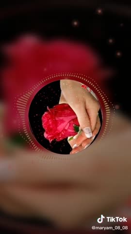 Foiz__d1f1bab900201583c445e26be7eb70e7