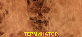 7Eob7zb7OzPR