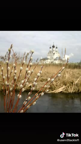 20200412_Нас_веточки_коснуться_вербные_