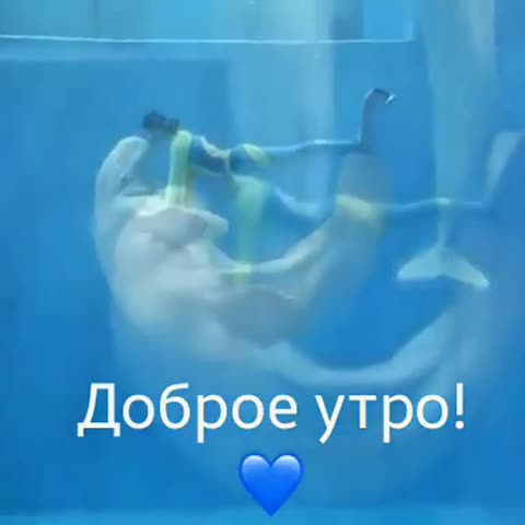 20200413_Доброе_утро