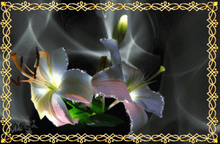 www_megai_info_4657_anim-flower-2