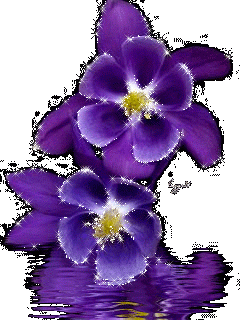 65ed0606b8b14b11266c9c8eb4076728