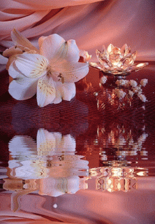 www_megai_info_flover-1