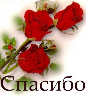 Спасибо розы