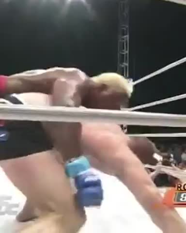 10000000_869757910191570_556070712893243392_n