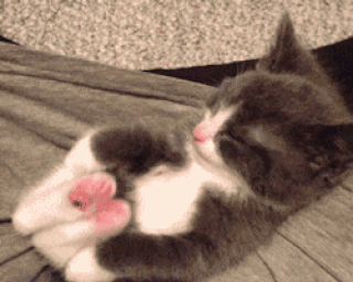 Foiz__Котик_мур