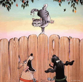 1484-ya_timkas-koshki-azar-013