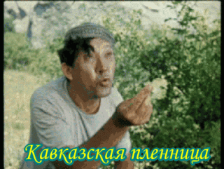 9TzSnV7mdyZ6