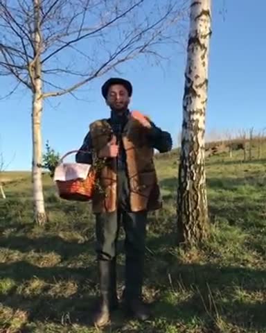 Христос воскресе