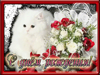 milyy-kotenok