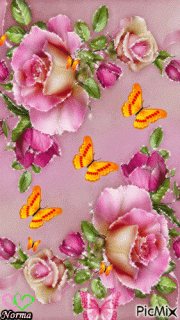 702c31cb29aeca86652bdad0a6ee862e