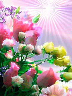 2bce869c10a5132f0e030c89f5bfb0be