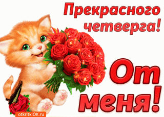 prekrasnogo-chetverga-eto-ot-menya-50963-5179003