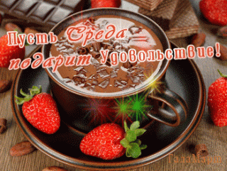 384340c63492f4a55561a796cbff8e00