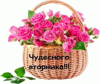 vtornik_0140