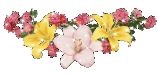 1507055913_828-cvety-1