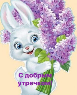 _j_ledi____B_MNlg_qcCv___