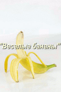 Foiz__bloggif_5ea1ae0773a49