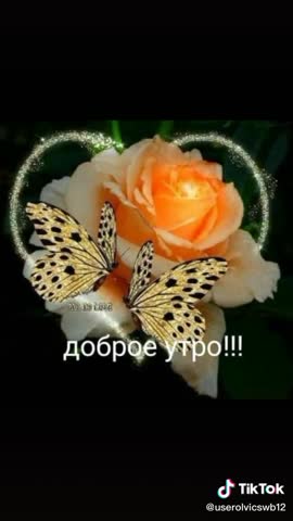 Утро_доброе_20200423