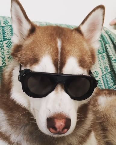 b50fff123b1b1336ec8a7903063f8b16