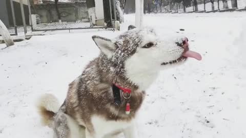 713b5bcbdbf587efa318771b7ed4febe