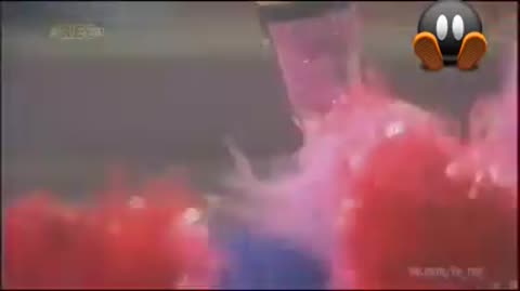 10000000_305347647099341_7689289471971295232_n