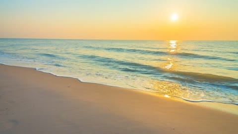 ALAMI ft ALLAM - SAIL [TEMPLE RECORDS]