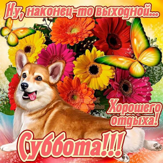 marinabazheno___B_ZAg1gIgD9___