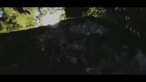 DELFINA - SHADOW IN MY DREAMS [ORIGINAL MIX[ VIDEO CREATOR