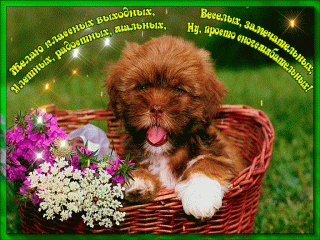 классных_выходных