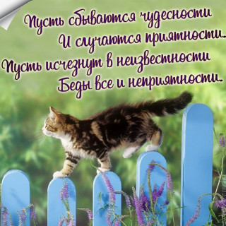 maksimmilanaliza7___B_WpJrjqzlR___