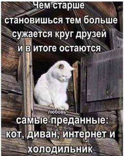 alf_1909___B_cwWfDj5a9___