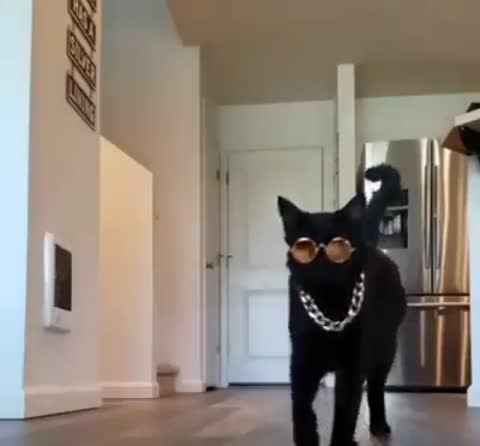 94849004_690114825125338_3013807461028069376_n_1