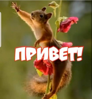 nadezdanadiysa___B_gsbu8jLD1___