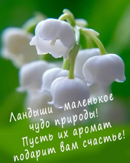 marinabazheno___B_jdSAbIvtR___