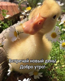 elkonatalia___B_im0xsI6qe___