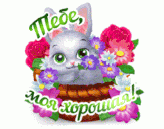 моя_хорошая