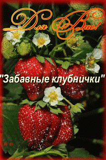 Foiz__bloggif_5eac07ee57f79