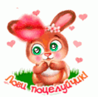 2163616ZLYiE0mE