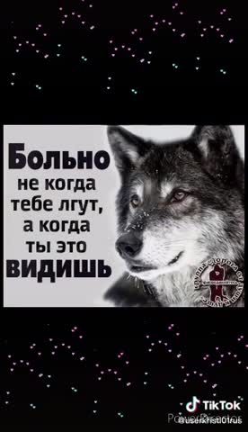 e19cda7589ccca934de2848b0cc348e5