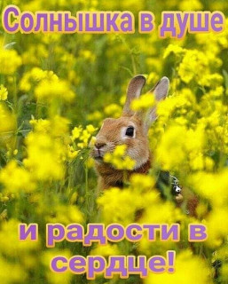 marinabazheno___B_tUc-koM4n___