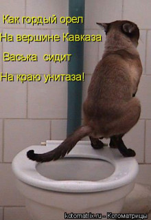 Гордый_Орёл