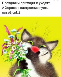 elkonatalia___B_uDxL9oyCn___