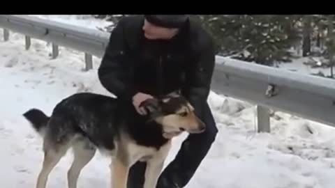Рок_Острова_-_Песня_про_верного_пса