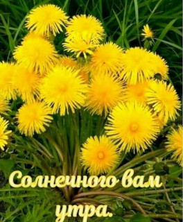ma_antonina___B_07OXkjBqb___